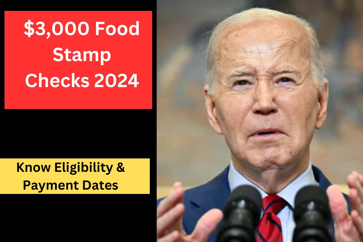 $3,000 Food Stamp Checks June 2024
